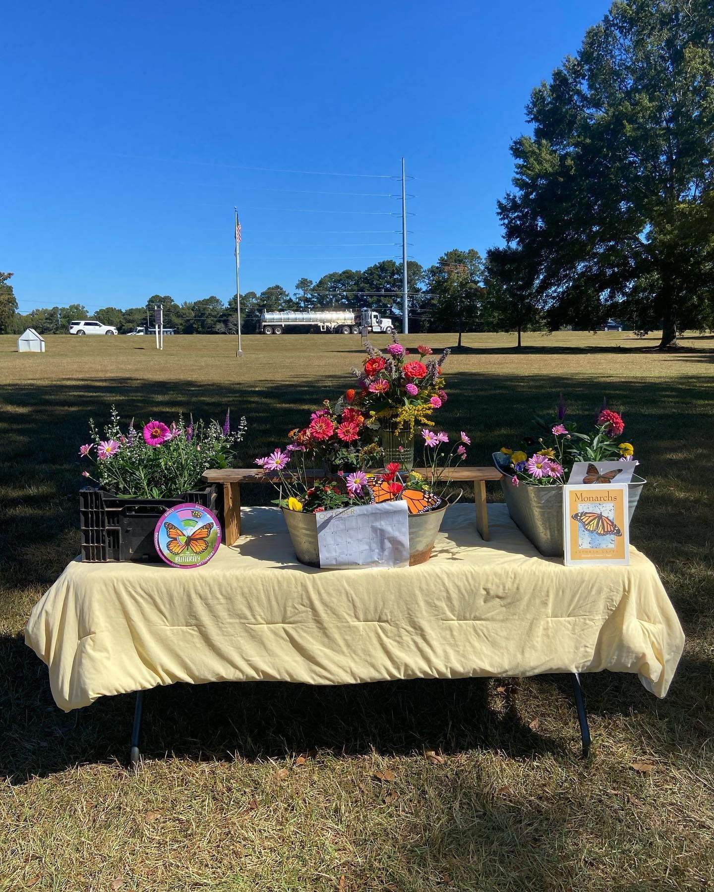 A table with flowers and potted plants on it in a park.