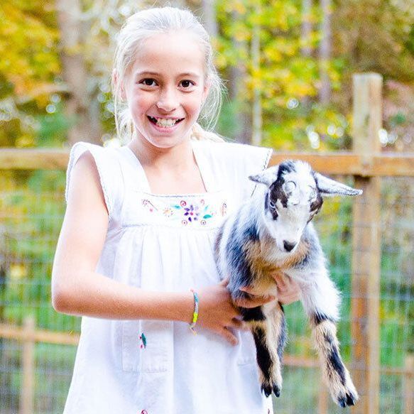 A young girl is holding a small goat in her arms.