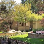 A lush green garden with trees and bushes in front of a house.