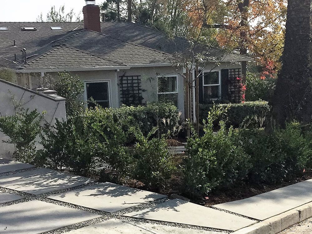 A house with a chimney on the roof is surrounded by bushes and trees