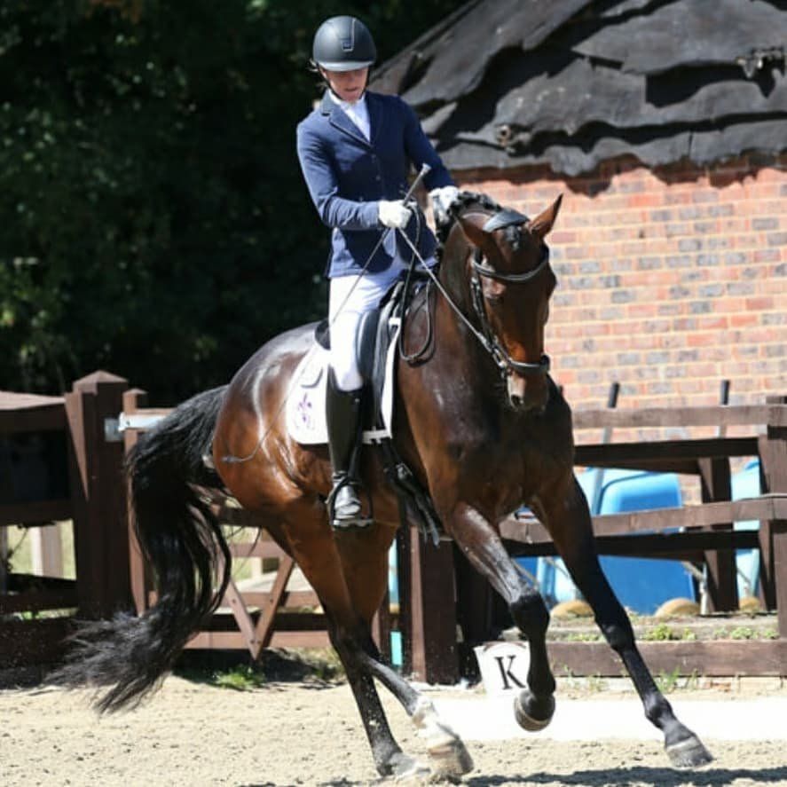 Jess Shaw Dressage