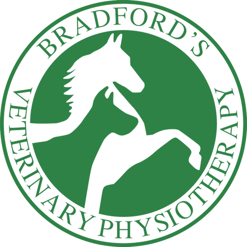 Tim Bradford - Equine Physiotherapy