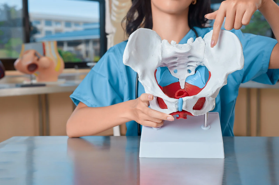 Occupational Therapy in Kenai, Alaska