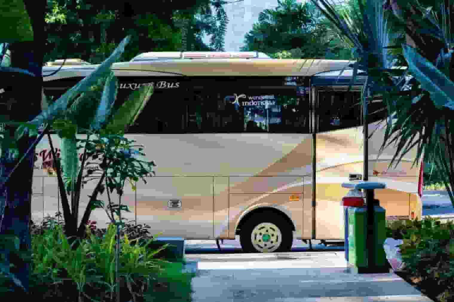 Beige coach bus parked by tropical plants and trees near a gated driveway