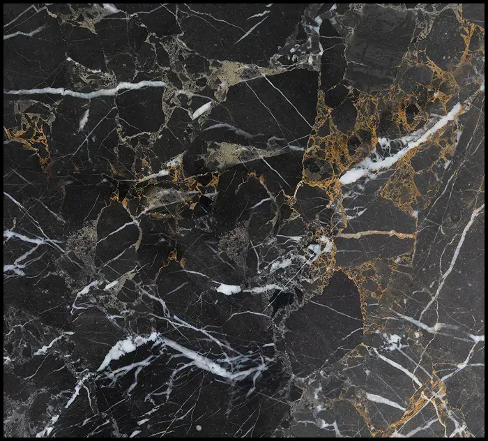 Close-up of polished black marble with gold and white veining