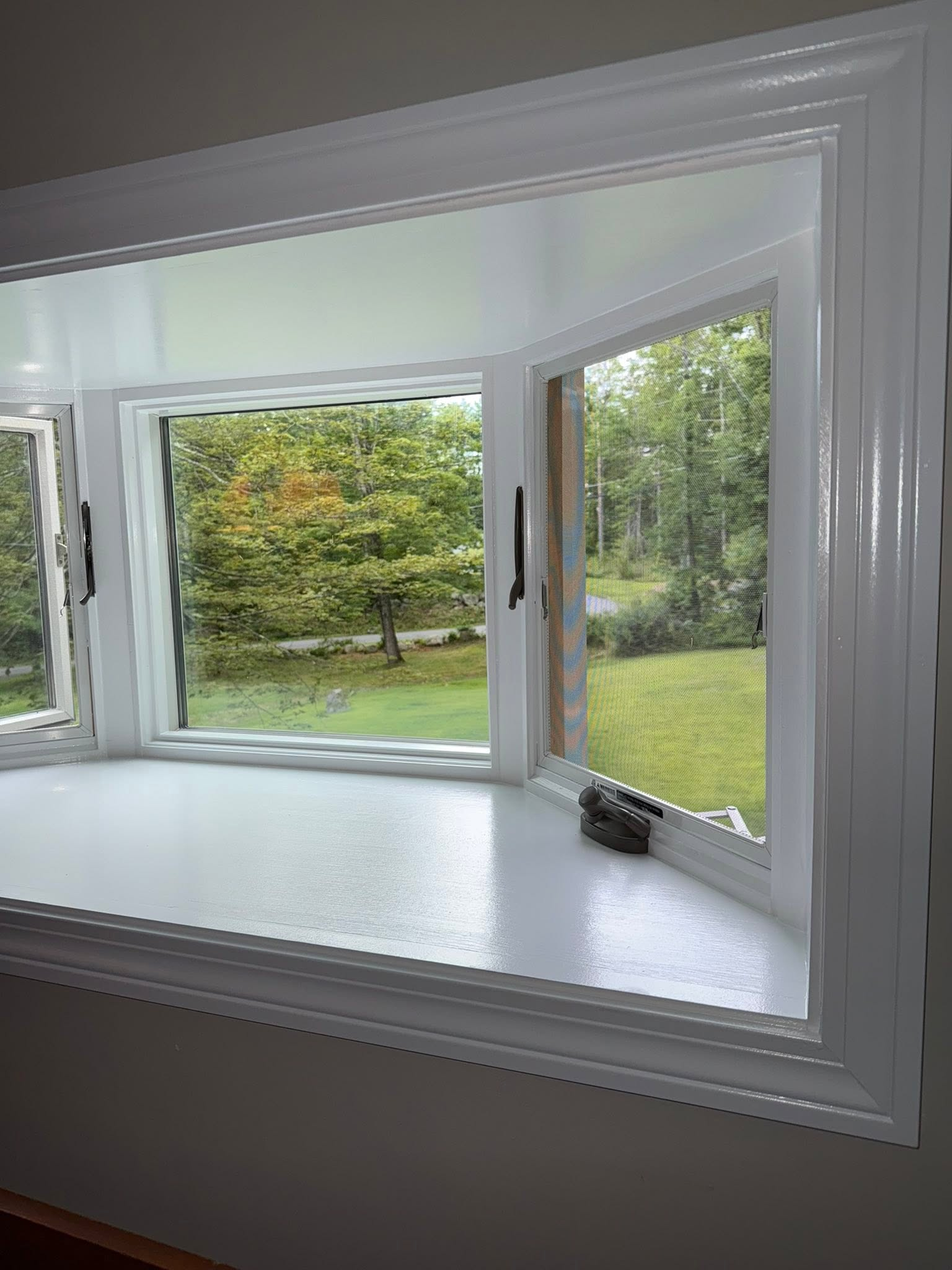 White bay window with three open panes overlooking a green backyard and trees