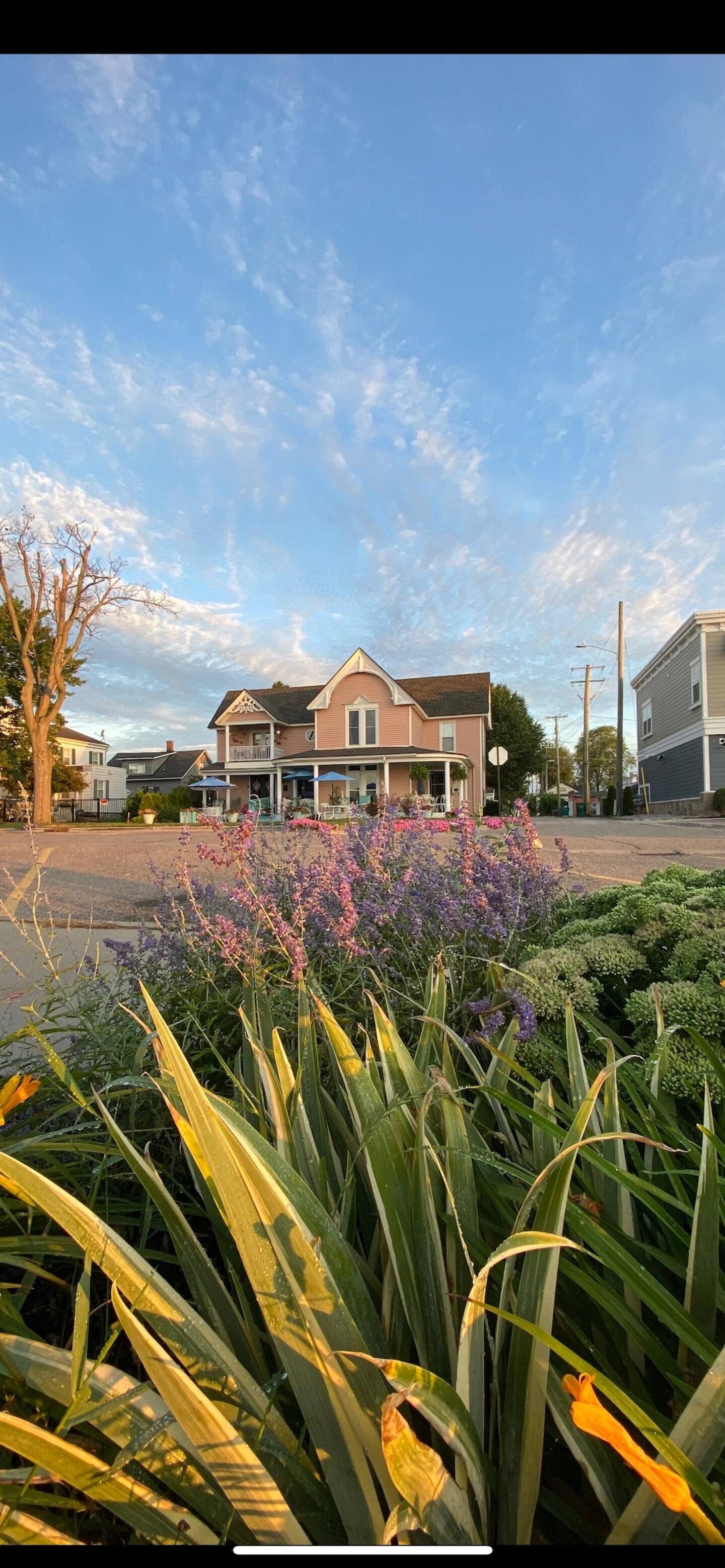 There is a house in the background and a lot of flowers in the foreground.
