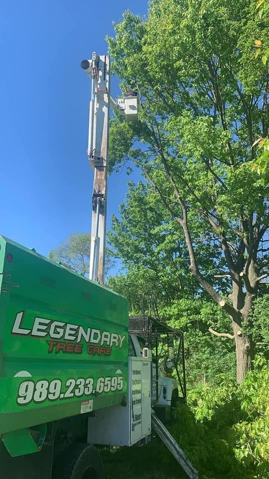 Legendary Tree Care LLC | green truck with a crane on top of it is cutting a tree.