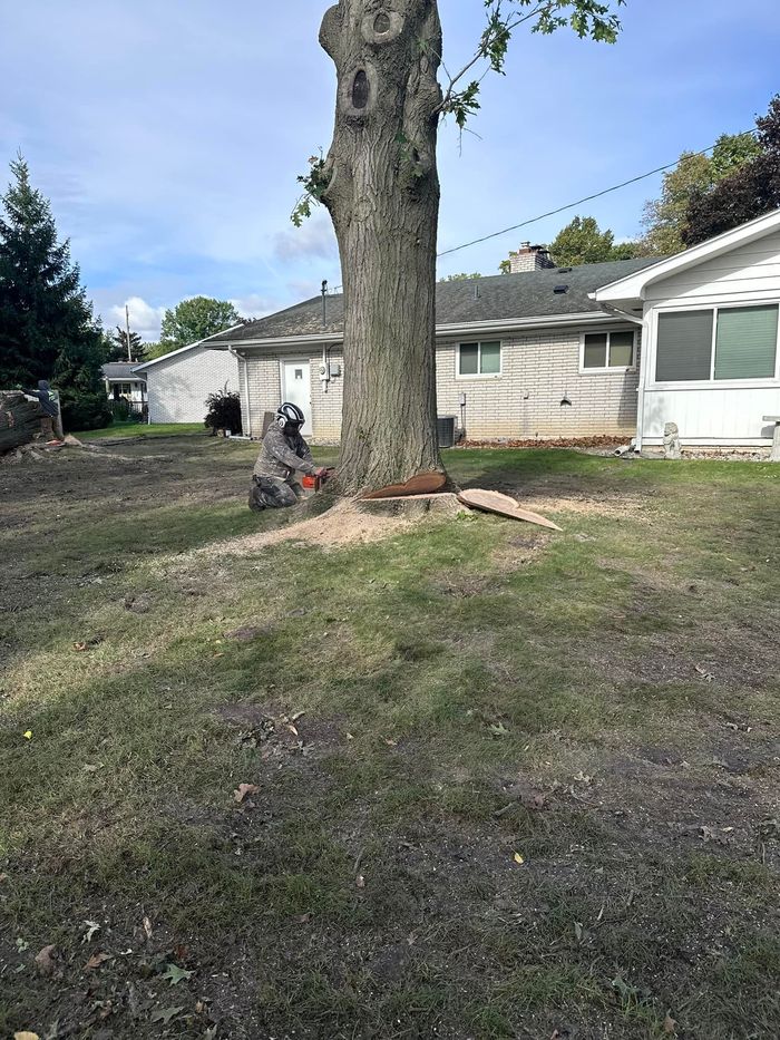 Legendary Tree Care LLC | man is cutting down a tree in front of a house.