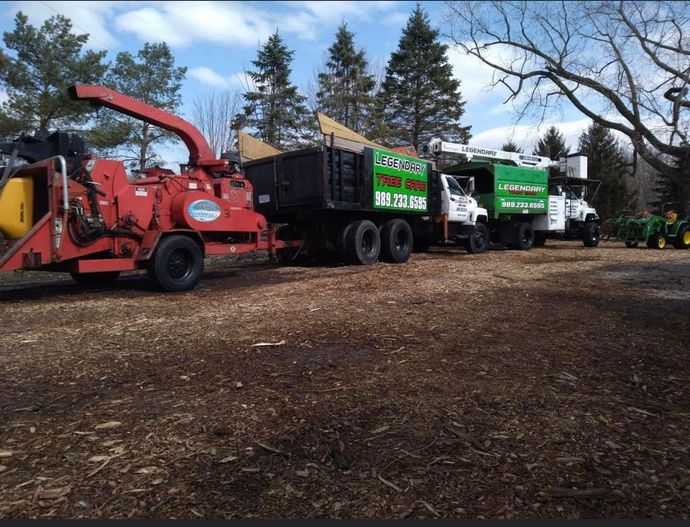 Legendary Tree Care LLC | row of trucks are parked next to each other in a yard