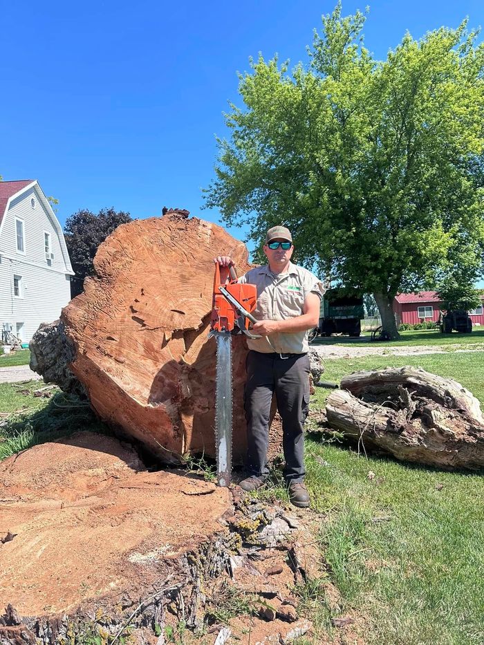 Legendary Tree Care LLC | man is standing next to a tree stump with a chainsaw.