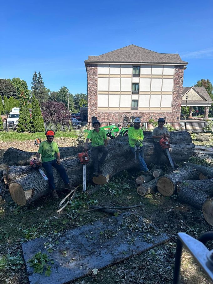 Legendary Tree Care LLC | group of men are sitting on a pile of logs in front of a building.