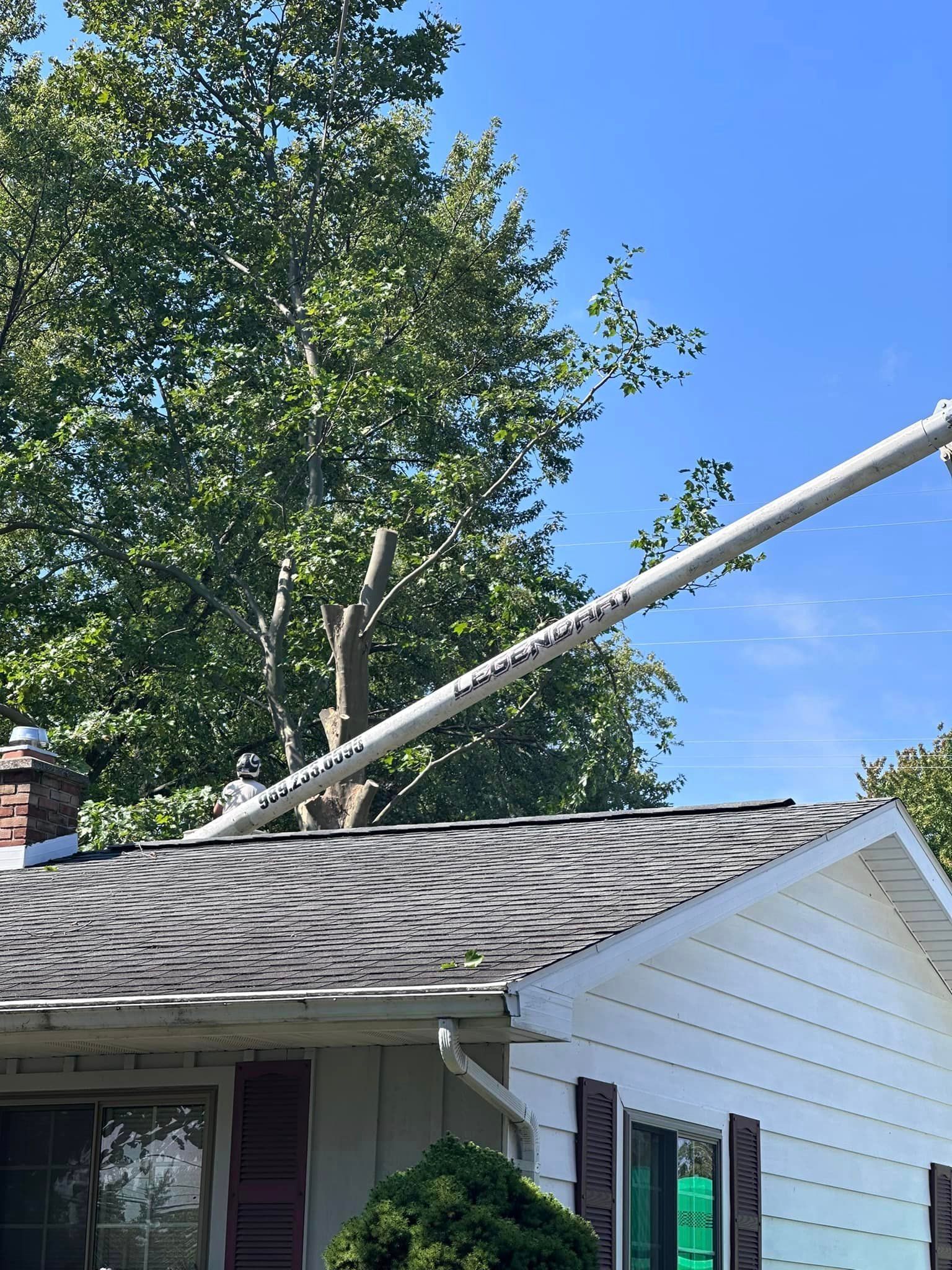 Legendary Tree Care LLC | crane is being used to remove a tree from the roof of a house.