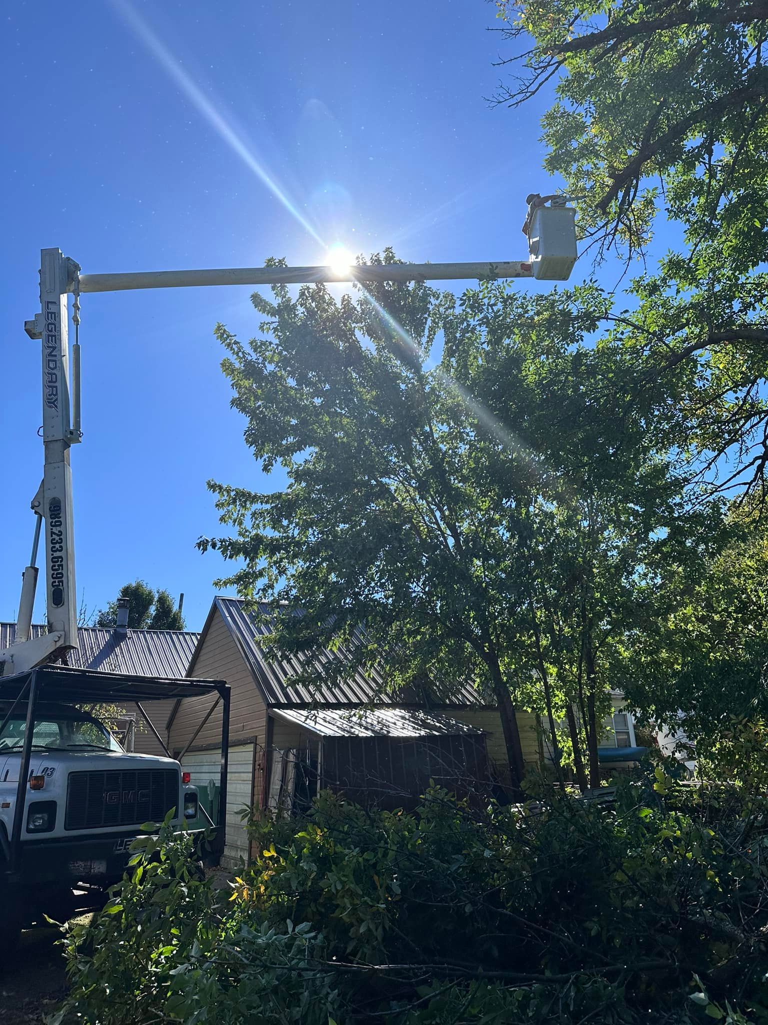 Legendary Tree Care LLC | crane is cutting a tree in front of a house.