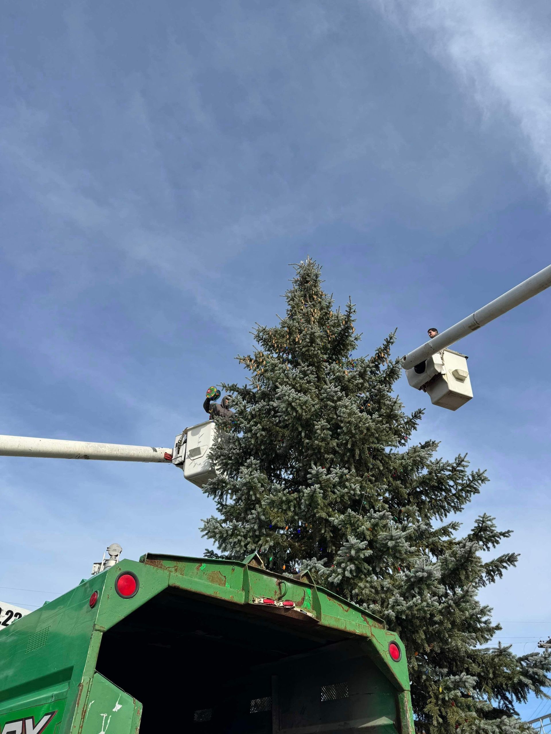 Legendary Tree Care LLC | green truck is cutting a tree with a crane.
