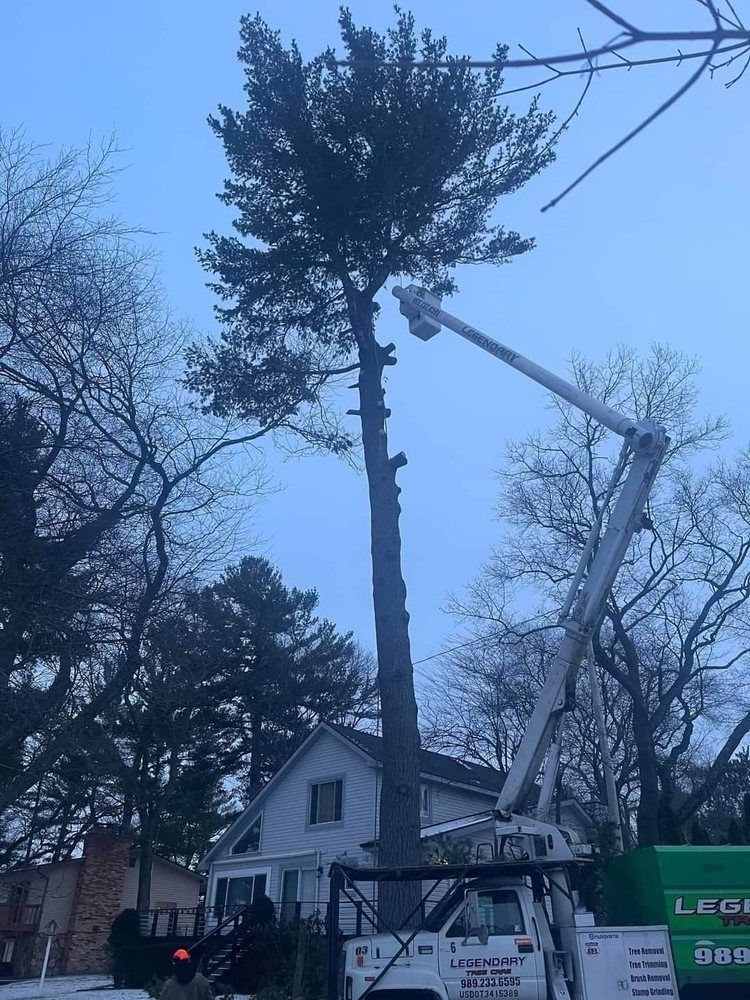 Legendary Tree Care LLC | tree is being cut down by a crane in front of a house.