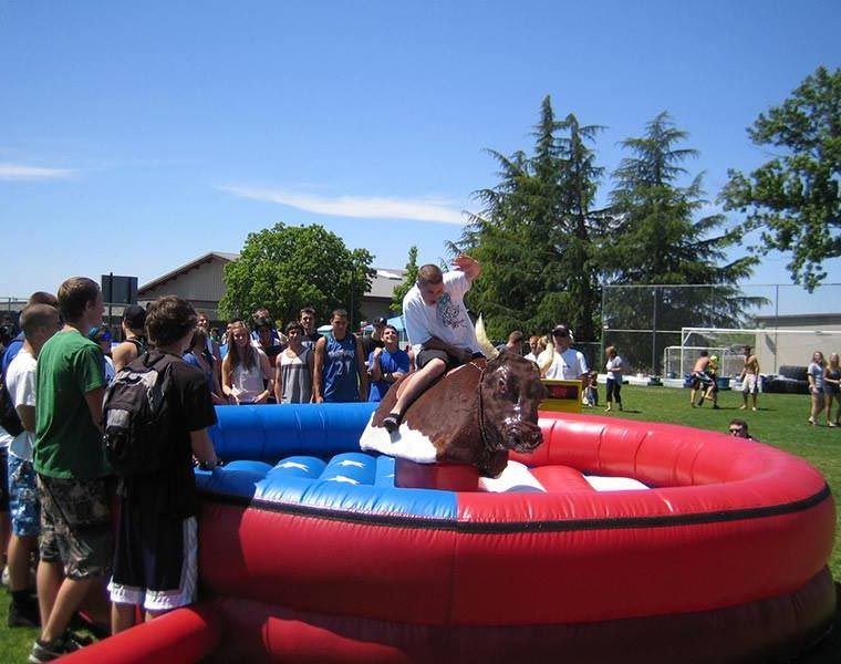 Mechanical Bull