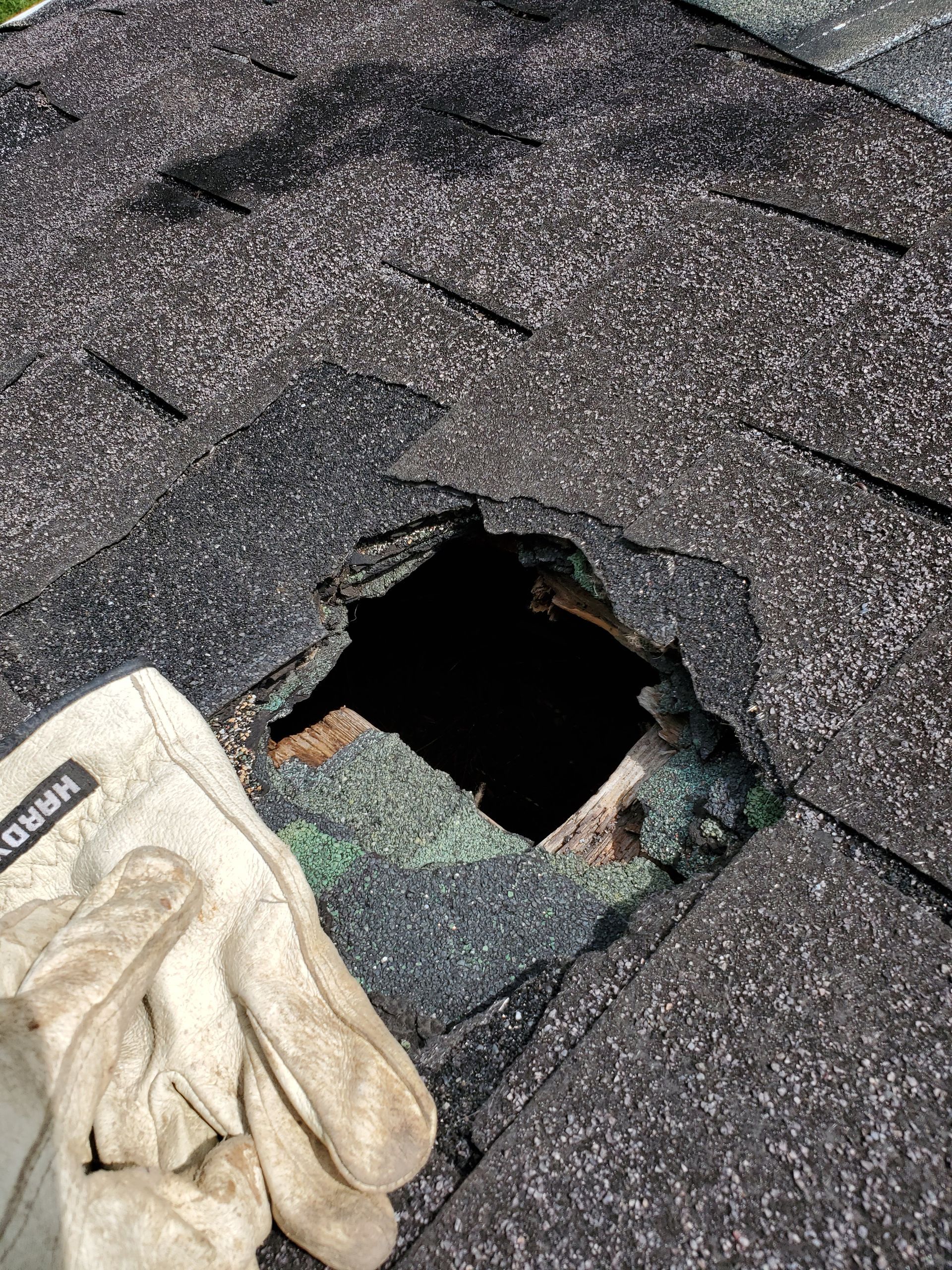 Hole On A Roof — Greensboro, NC — The Critter Gitter LLC