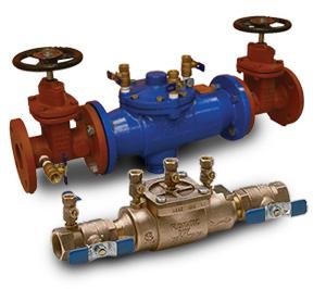 Deux valves sont placées l'une à côté de l'autre sur un fond blanc