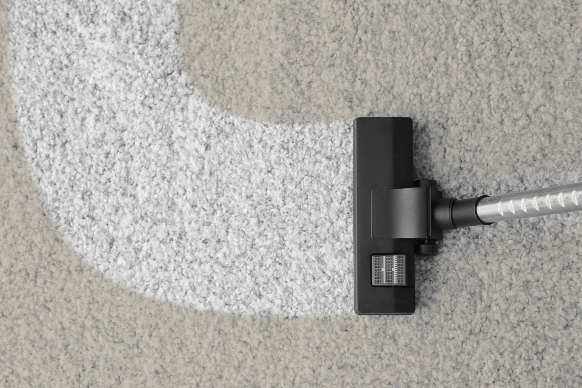 Close-up of a vacuum cleaner head on a carpet, cleaning a curved light-colored patch