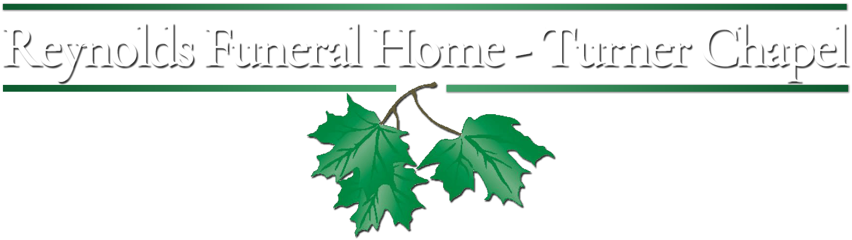 logo-image