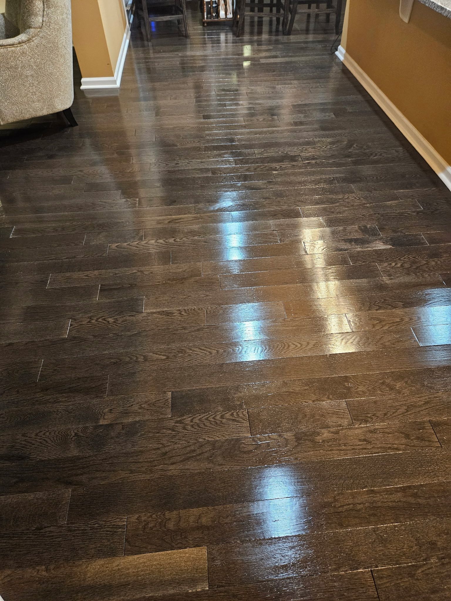 Wet, dark wooden floor reflecting overhead lights, in a hallway.
