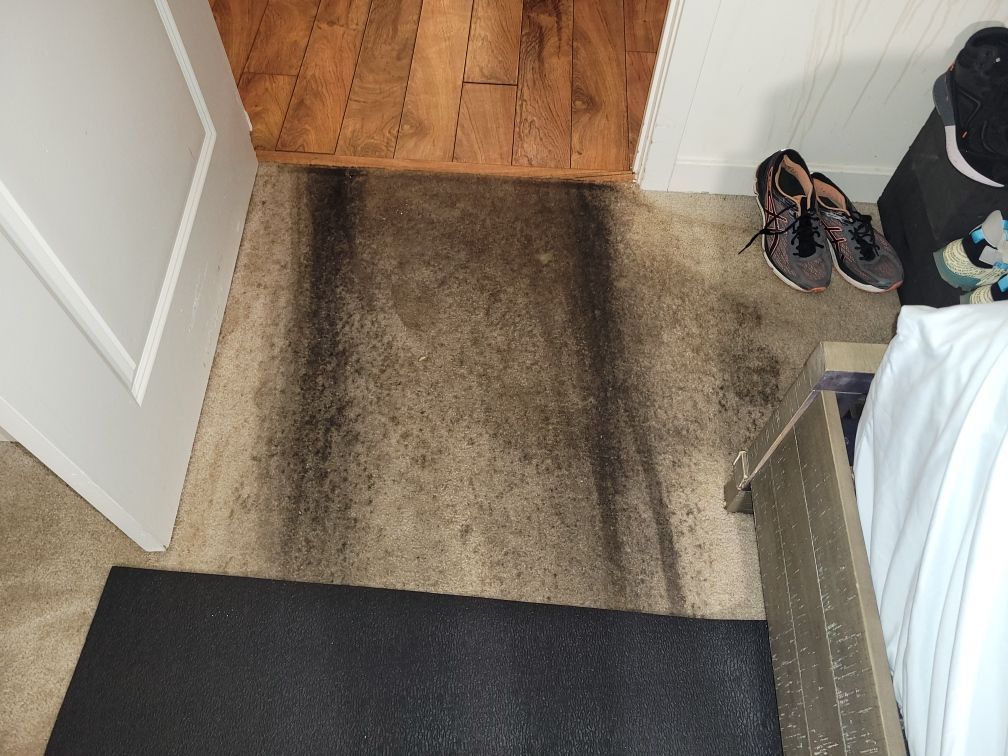 Dark stains on carpet near a doorway, shoes, and a black mat.
