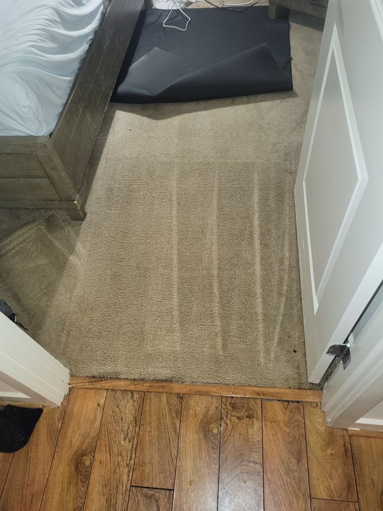 Beige carpet in a bedroom, showing vacuumed stripes. Wooden floor borders carpet near a doorway and a bed.