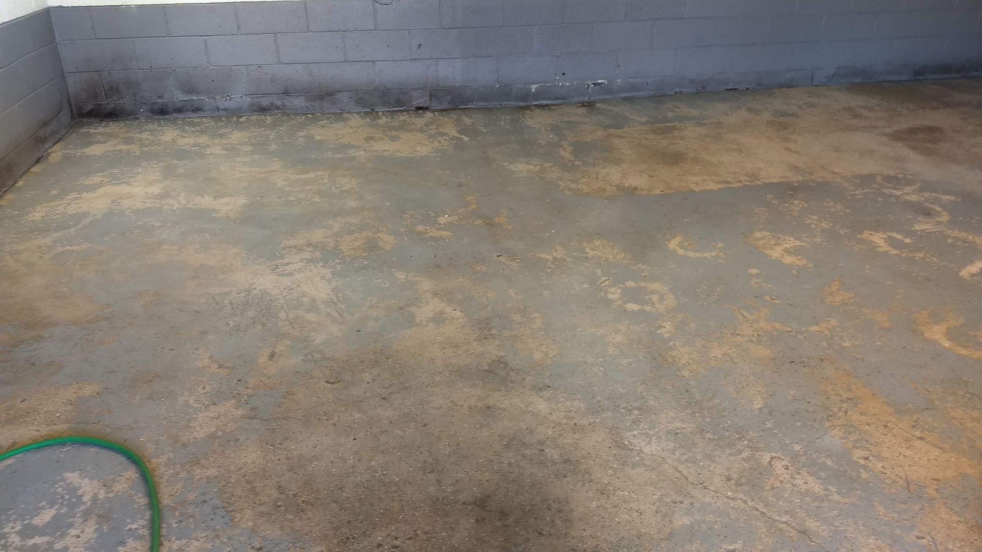 Before paint removal from concrete in Newtown Square Pa