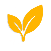 Yellow leaf logo on a white background
