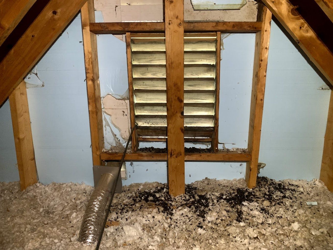 wildlife damage repair services near me Attic interior with vent. Blue wall, wooden beams, insulation, and debris.