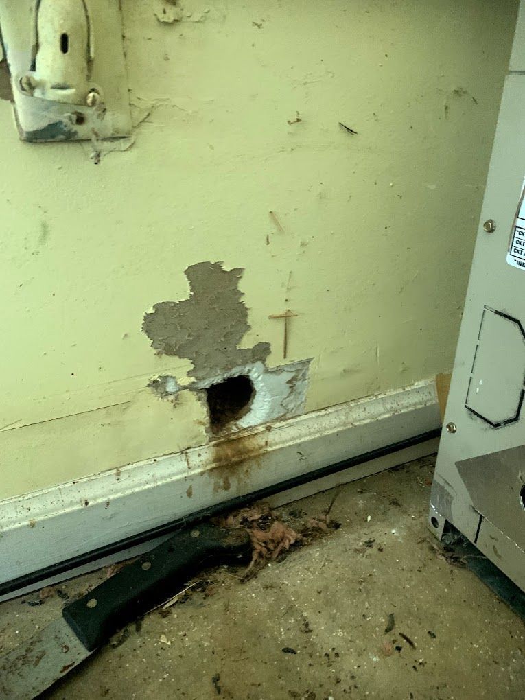 wildlife damage repair services Hole in wall with damaged paint. A knife lies on the floor.