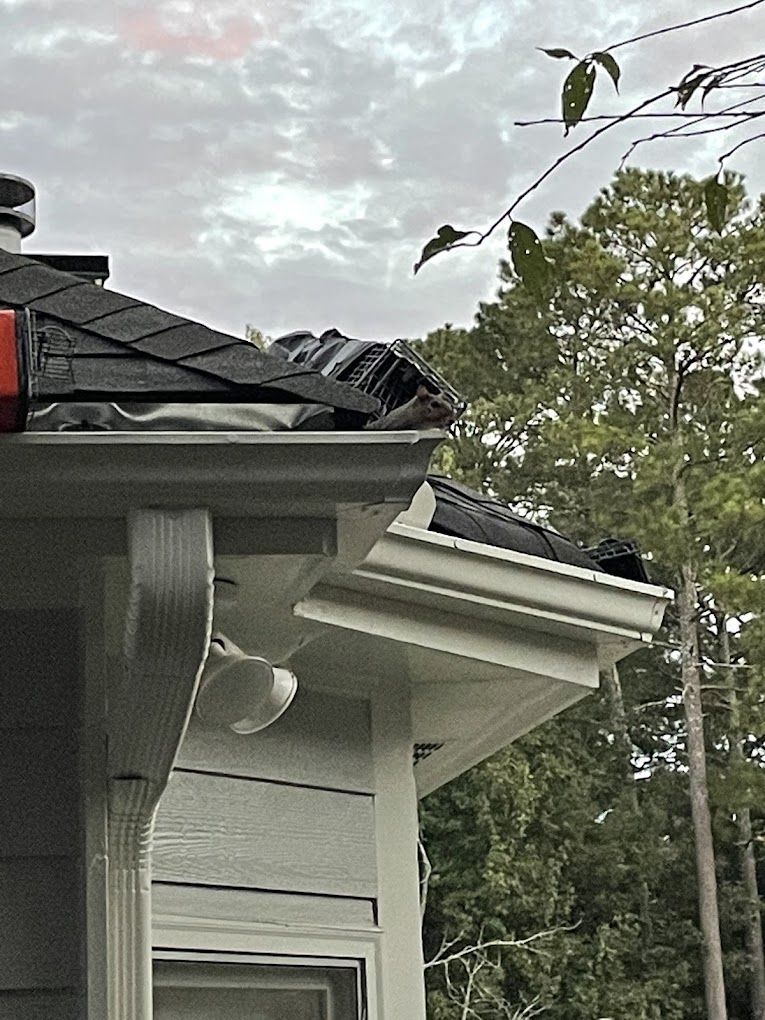 wildlife damage repair buford ga Damaged roof edge with missing shingles and gutter partially torn away. Cloudy sky, trees in background.