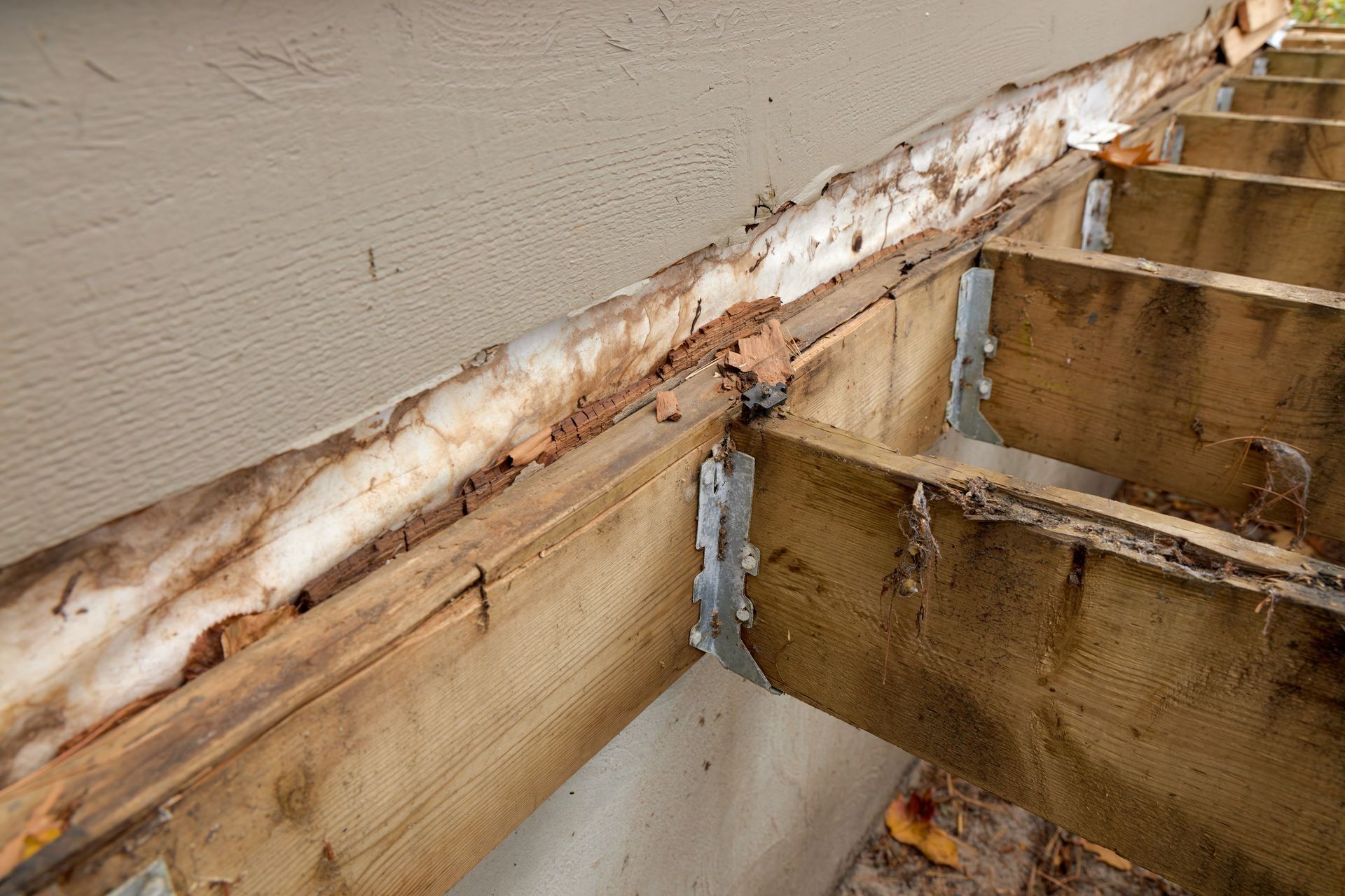 Rotted wooden stair framing with peeling white trim and exposed damage along a wall.