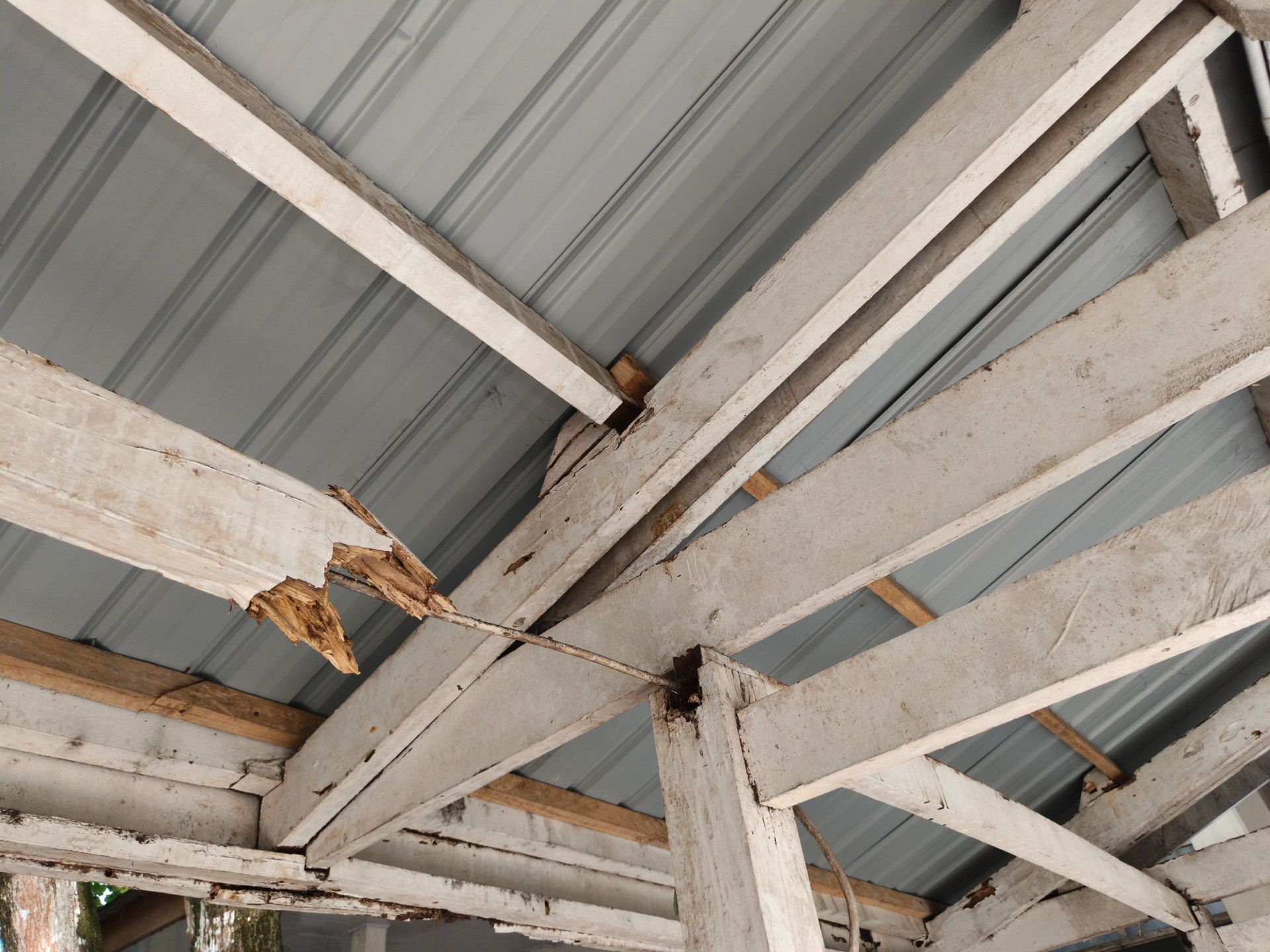 Damaged wooden roof beams under a corrugated metal roof, with visible rot and holes
