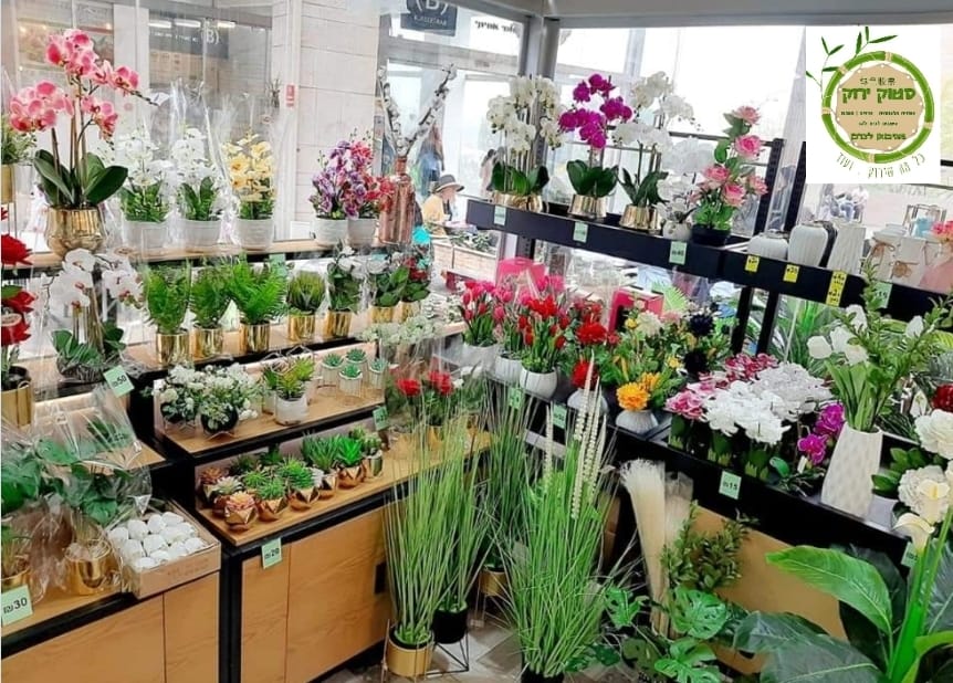 Indoor plant shop with rows of colorful flowers and potted succulents on display