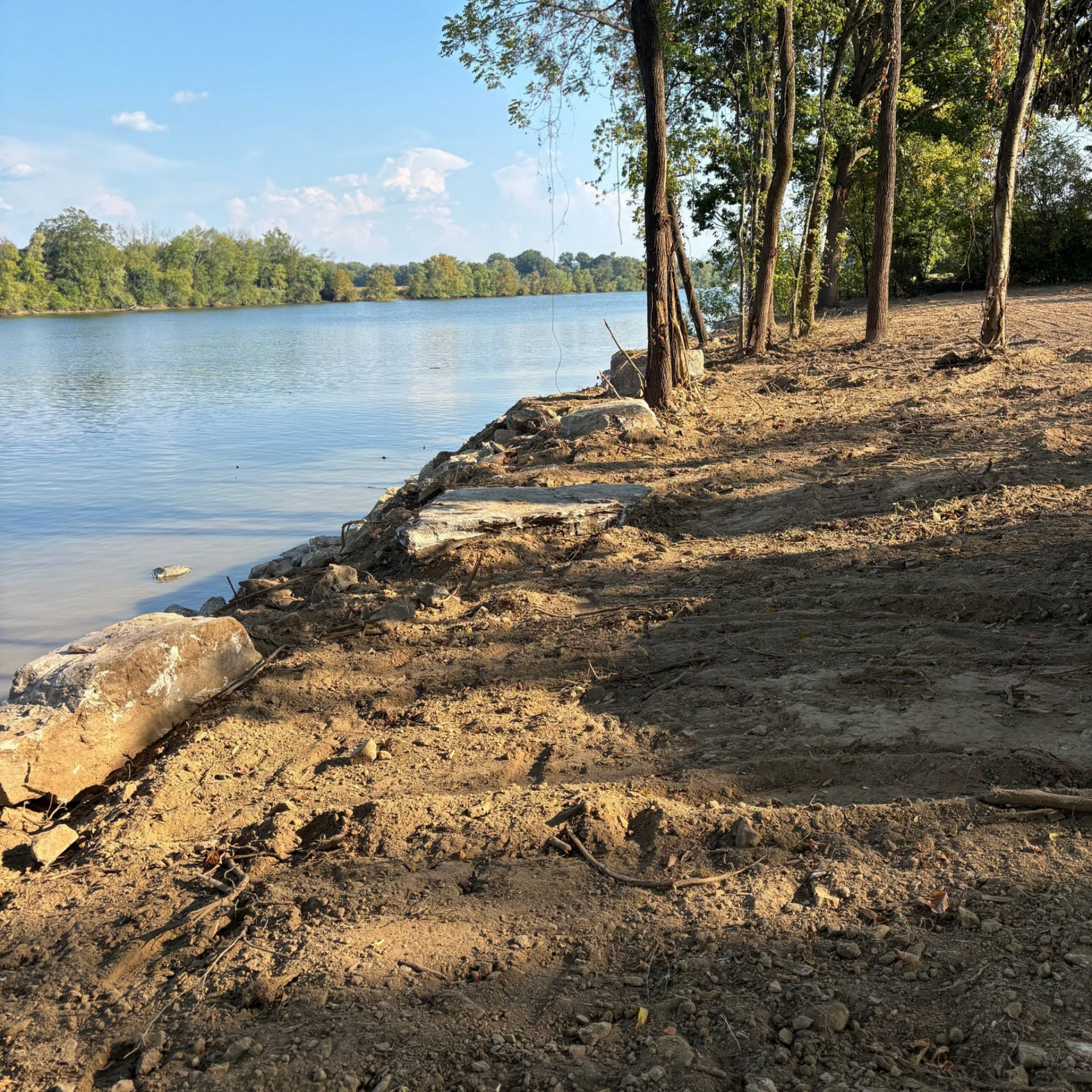 Sandy riverbank with trees beside calm blue water under a clear sky