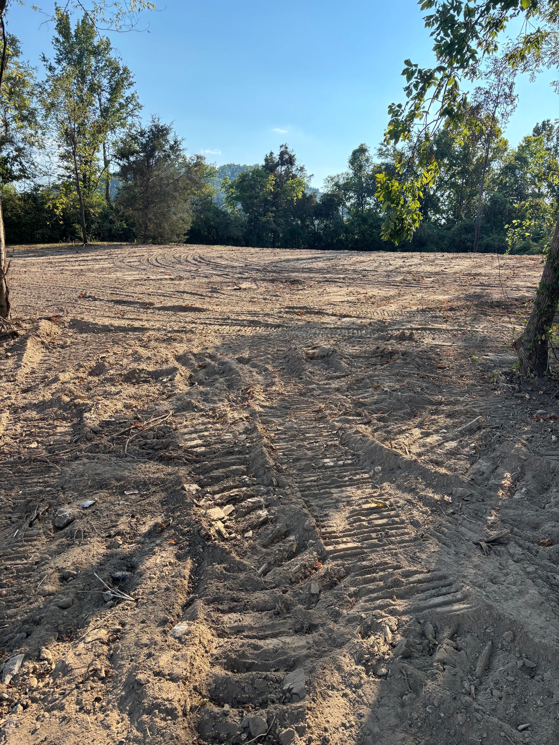 Rough dirt clearing with tire tracks, bordered by trees under a clear blue sky.