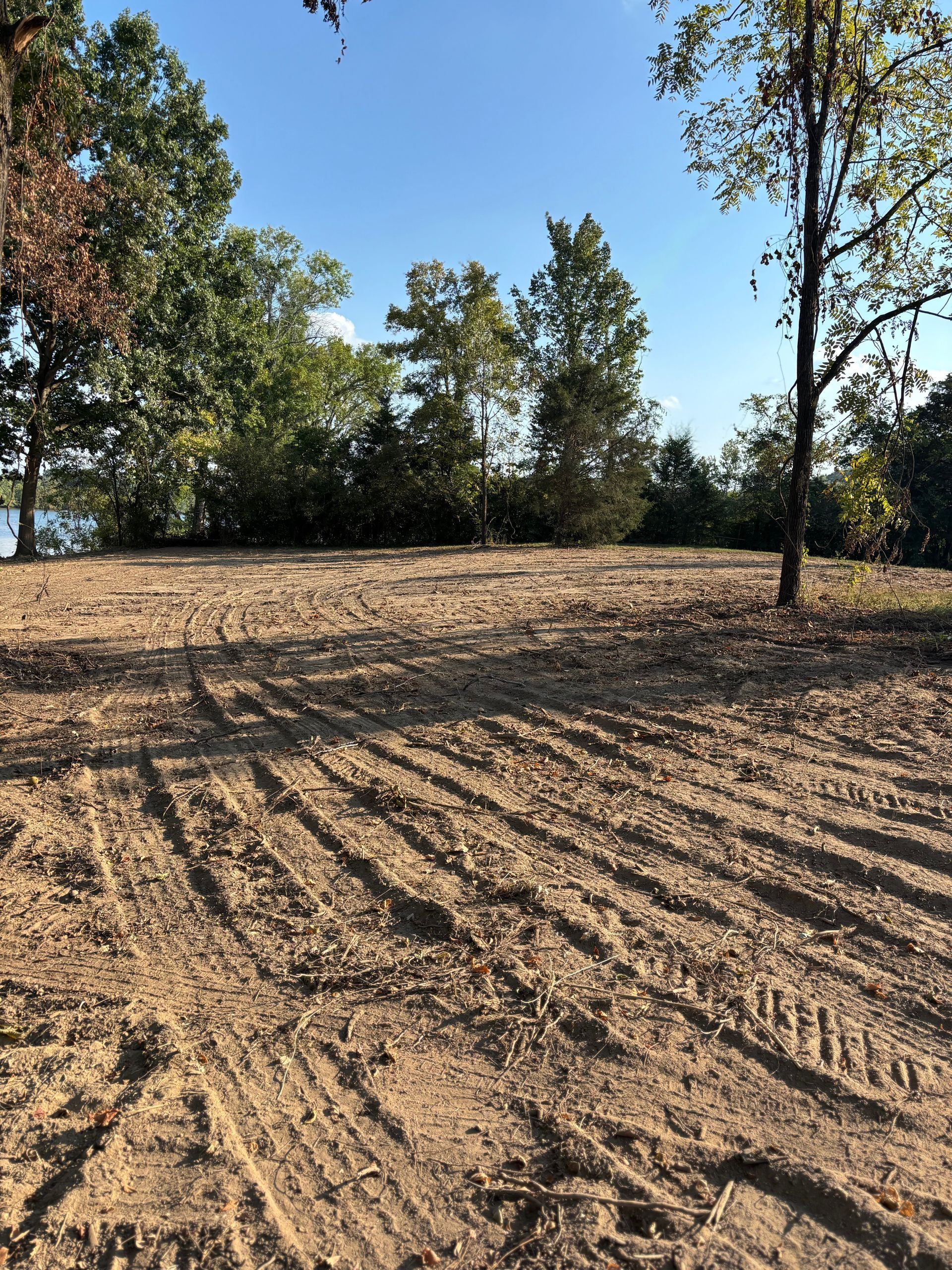 Dry, plowed field with tree-lined edge and long morning shadows under a clear blue sky