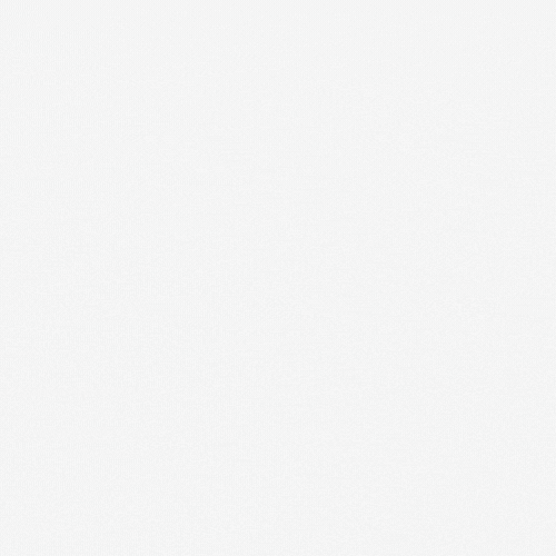 Plain white background with a subtle light gray texture