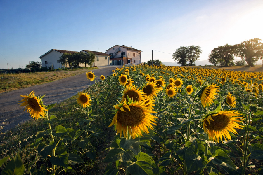 Spazi comuni eleganti dell'agriturismo con atmosfera calda.
