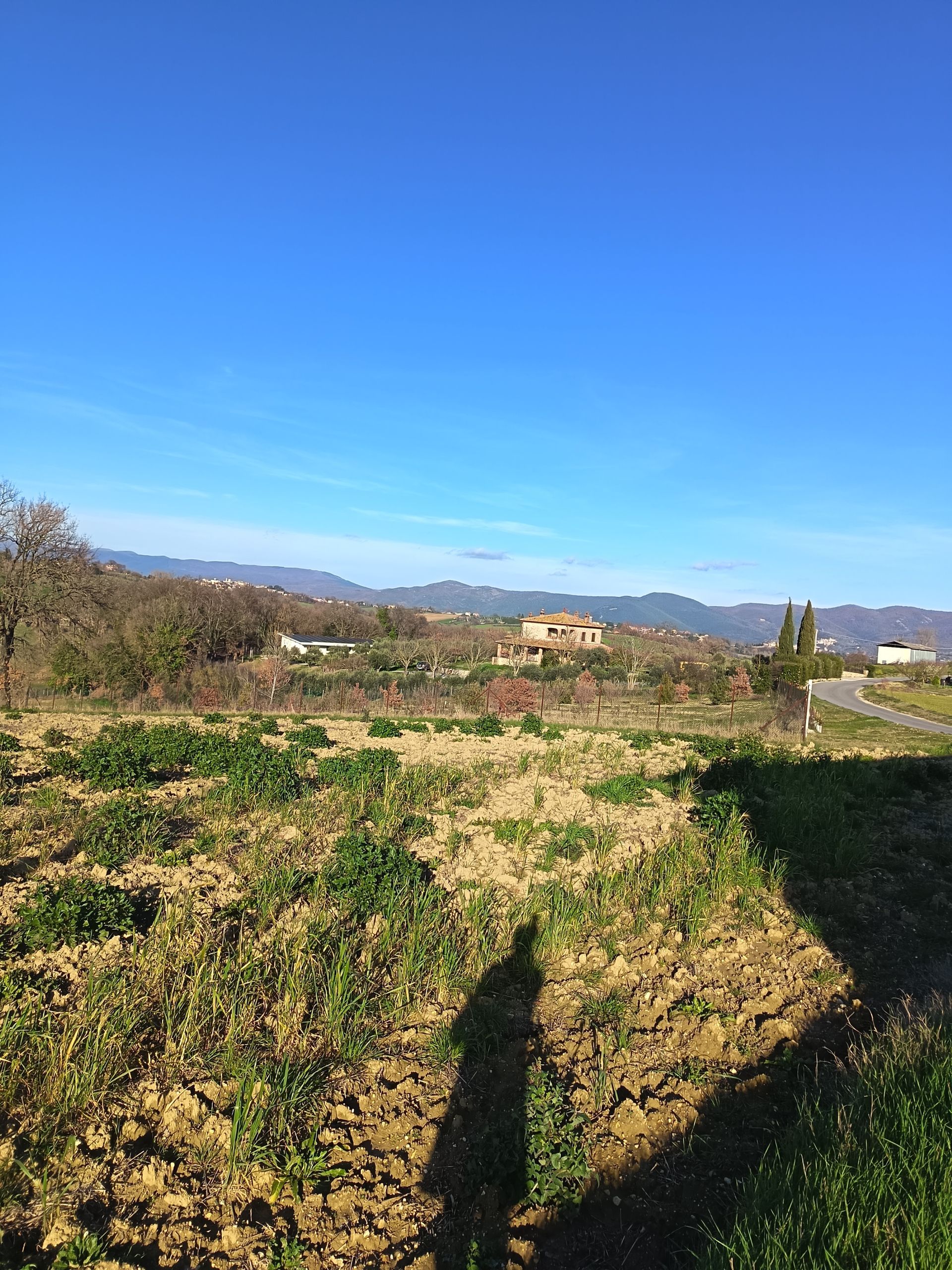 Un paesaggio rurale soleggiato con un campo coltivato in primo piano, colline in lontananza e un cielo azzurro limpido.