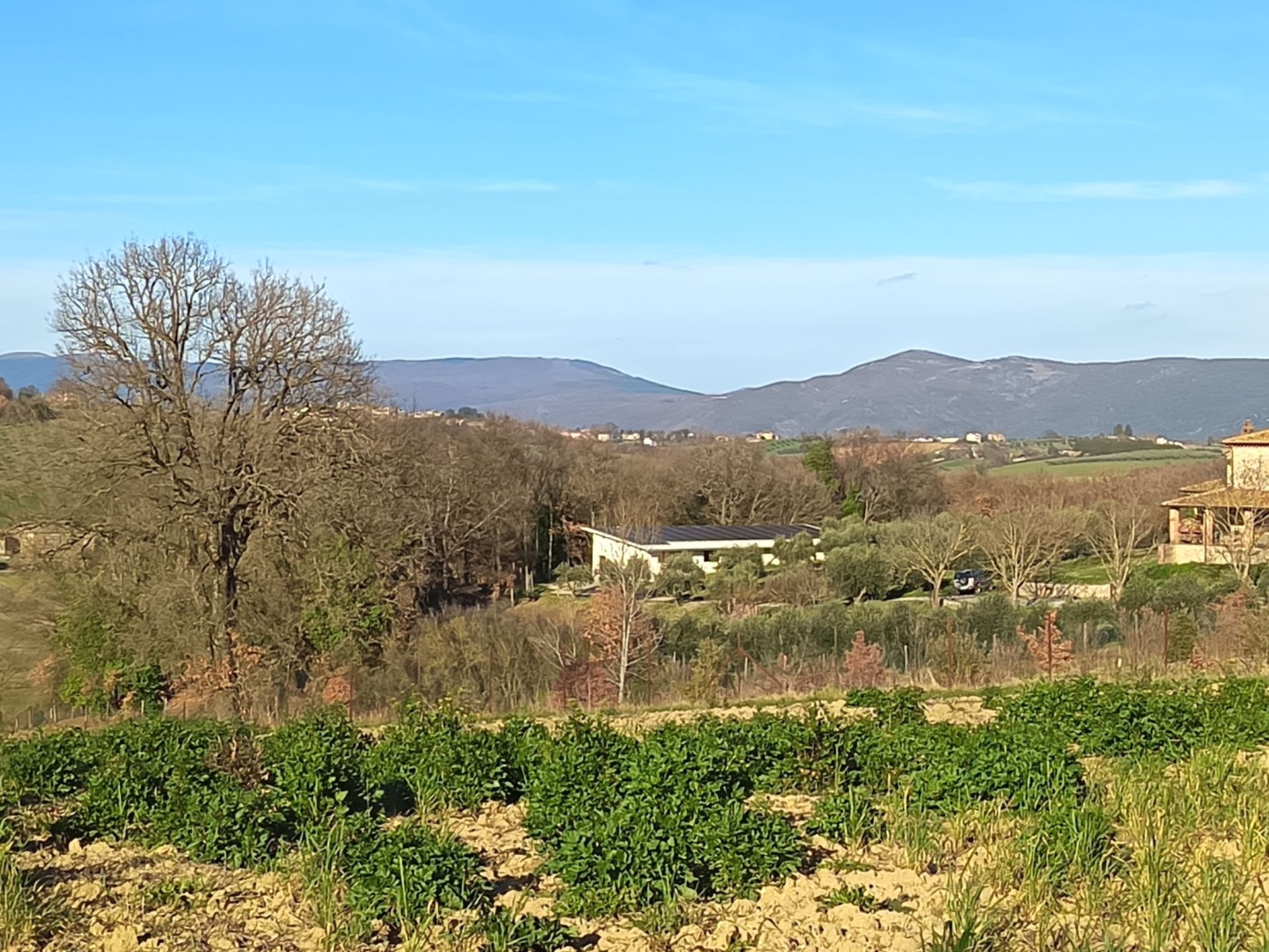 Un paesaggio rurale caratterizzato da campi coltivati ​​in primo piano