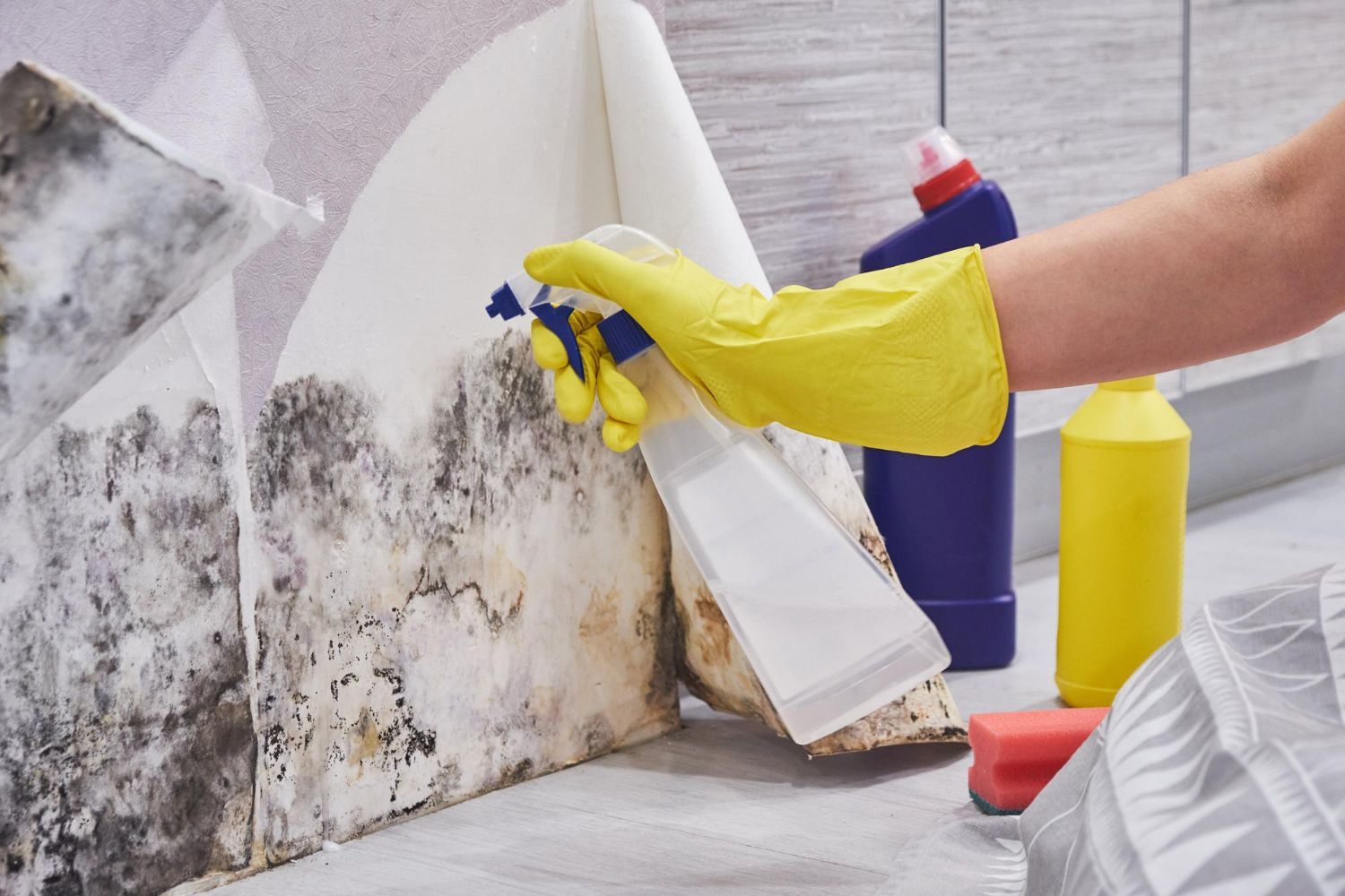 Bathroom mold