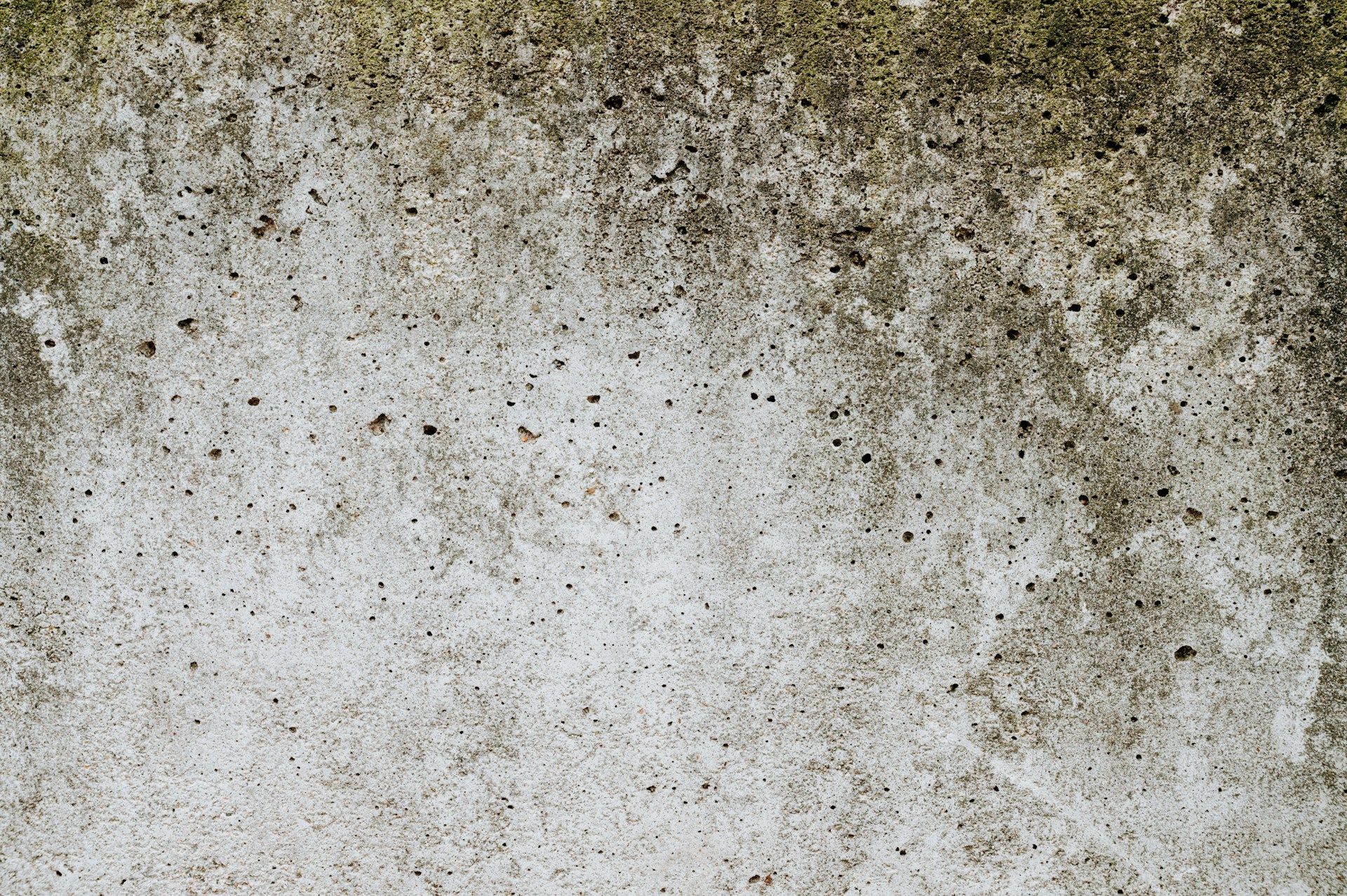 Mold