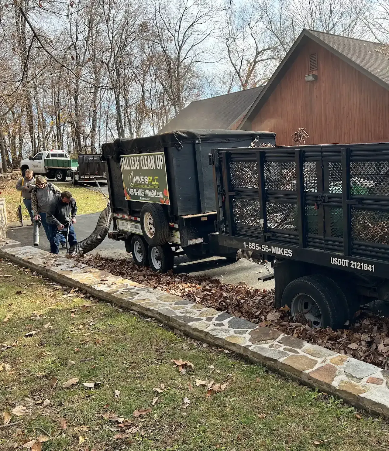 Leaf Clean Up