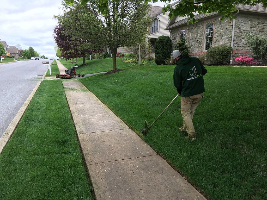 Lawn Care