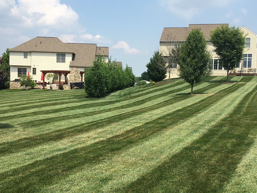 Lawn Care