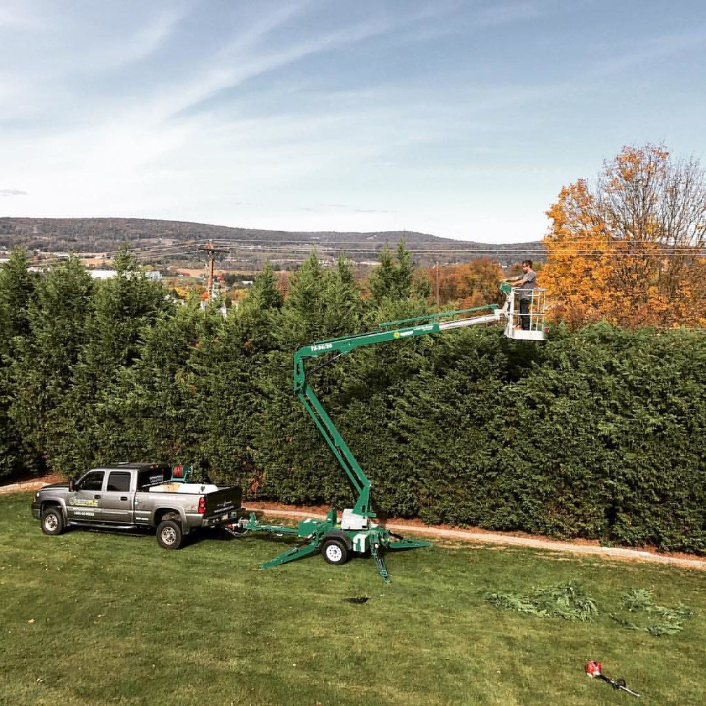 Landscaping