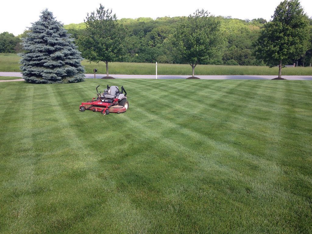 Lawn Mowing